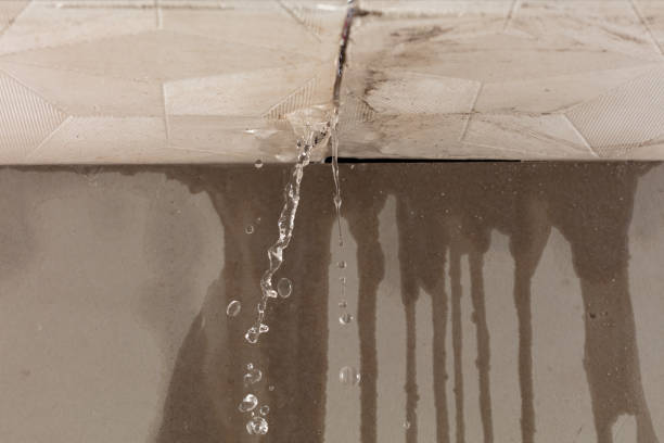 Professional Flood Damage Cleanup technician working in Mount Clemens, MI